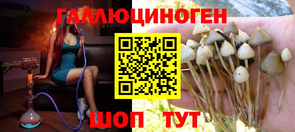 Ханты-Мансийск  Галлюциногенные грибы прущие грибы  Вход с VPN  Галлюциногенные грибы MAGIC MUSHROOMS 